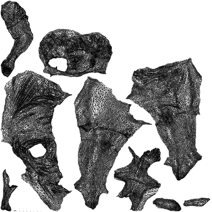 3D people model boy casual kids, scanned human for 3ds Max rendering, wireframe top-down view