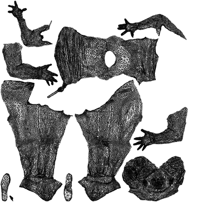 scanned 3D woman casual sitting, photogrammetry people for Enscape and V-Ray, wireframe top-down view