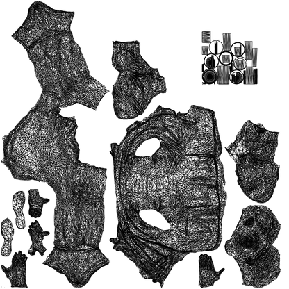 photogrammetry 3D man business, realistic human model archviz FBX, wireframe top-down view