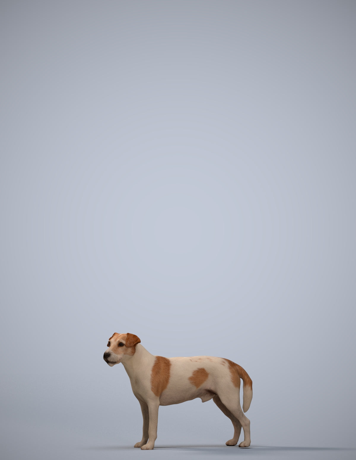 scanned 3D person misc, photogrammetry people for Enscape and V-Ray