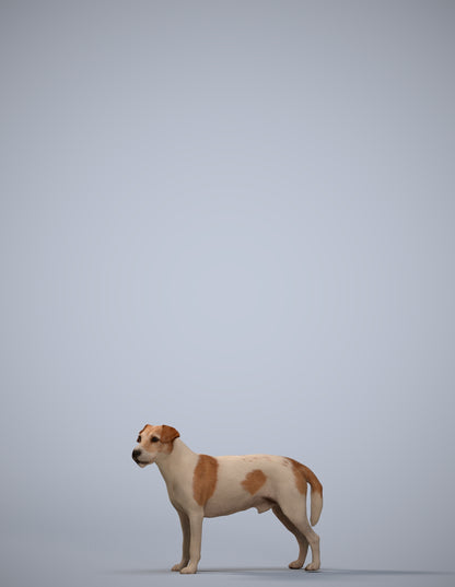 scanned 3D person misc, photogrammetry people for Enscape and V-Ray