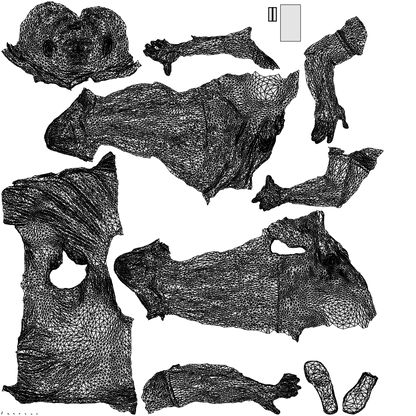 3D scanned man sitting casual, photorealistic archviz people for Enscape and SketchUp, wireframe top-down view