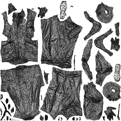 3D people model man medical, scanned human for 3ds Max rendering, wireframe top-down view