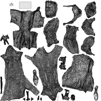 3D people model woman business walking, scanned human for 3ds Max rendering, wireframe top-down view