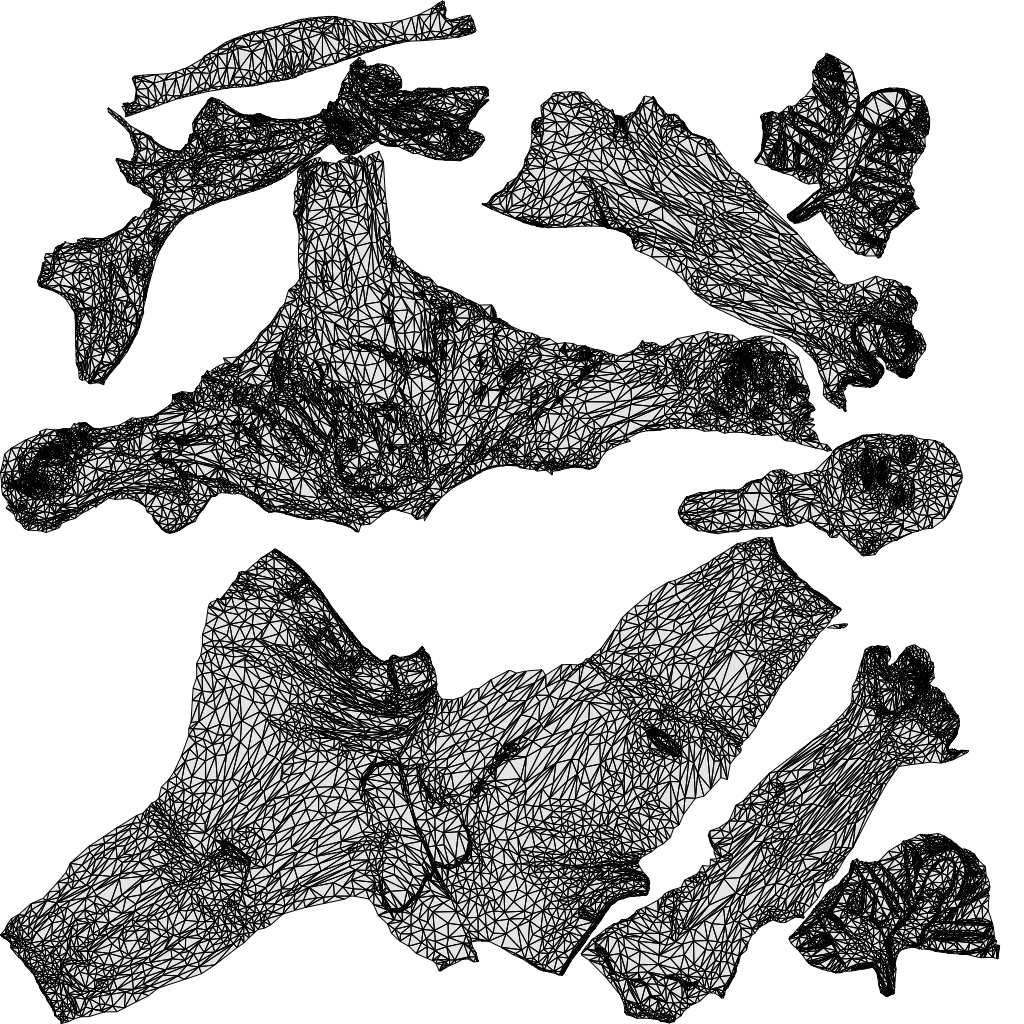 3D scanned woman cycling casual, photorealistic archviz people for Enscape and SketchUp, wireframe top-down view