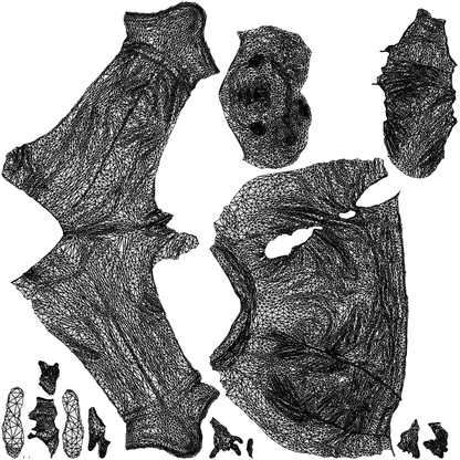 realistic 3D man casual business, scanned archviz people for Blender and 3ds Max, wireframe top-down view