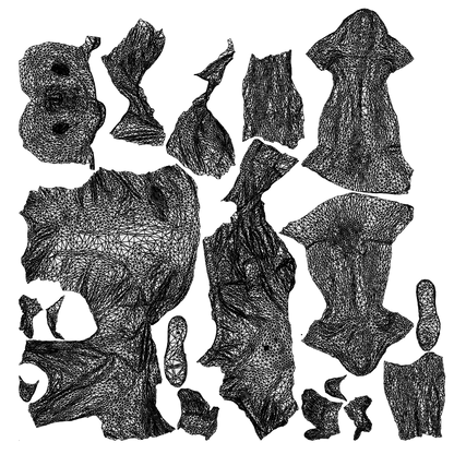 scanned 3D senior man casual cycling, photogrammetry people for Enscape and V-Ray, wireframe top-down view