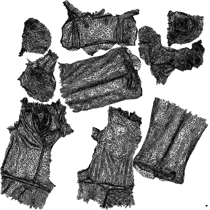 scanned 3D senior woman business walking, photogrammetry people for Enscape and V-Ray, wireframe top-down view