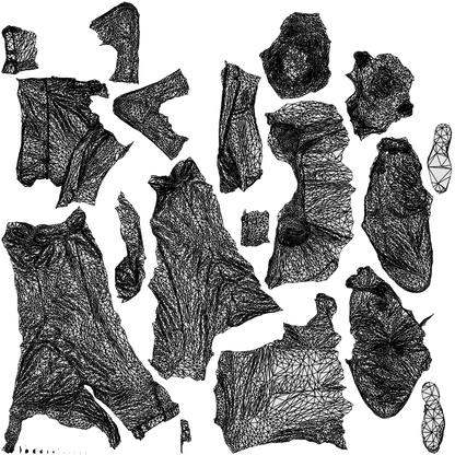 realistic 3D man business, scanned archviz people for Blender and 3ds Max, wireframe top-down view