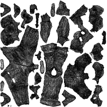 photogrammetry 3D girl casual kids, realistic human model archviz FBX, wireframe top-down view