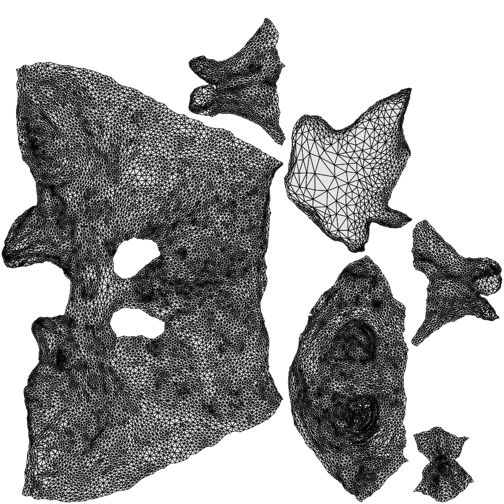 3D human model person misc, photogrammetry scanned person for archviz, wireframe top-down view