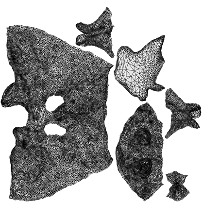 3D human model person misc, photogrammetry scanned person for archviz, wireframe top-down view