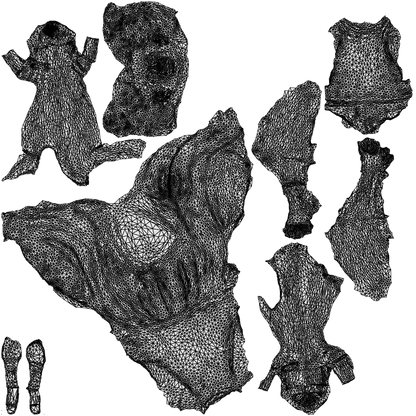 realistic 3D woman formal sitting, scanned archviz people for Blender and 3ds Max, wireframe top-down view