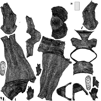 3D human model woman casual standing, photogrammetry scanned person for archviz, wireframe top-down view