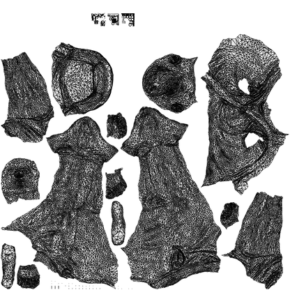 3D people model boy casual cycling, scanned human for 3ds Max rendering, wireframe top-down view