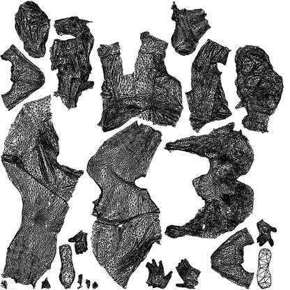 3D people model woman casual sitting, scanned human for 3ds Max rendering, wireframe top-down view