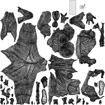 3D scanned senior woman standing, photorealistic archviz people for Enscape and SketchUp, wireframe top-down view