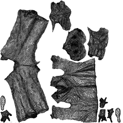scanned 3D senior woman business, photogrammetry people for Enscape and V-Ray, wireframe top-down view